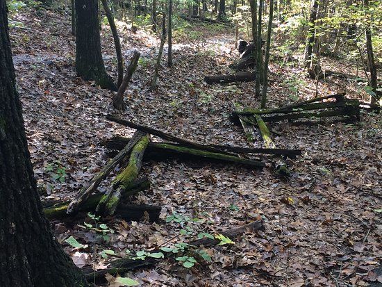 Ruth and Paul Henning Conservation Area